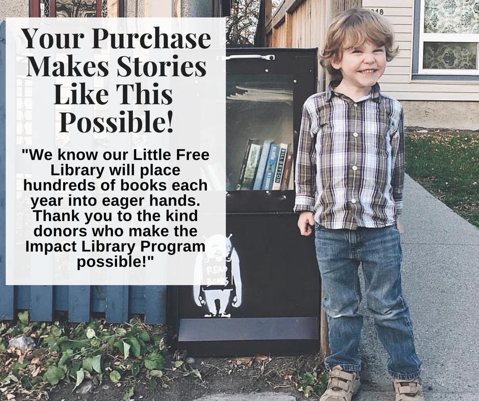 Little Free Libraries and Tiny Sheds - Image 5